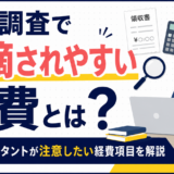 コンサルタントの経費で税務調査に指摘されやすい項目とは？